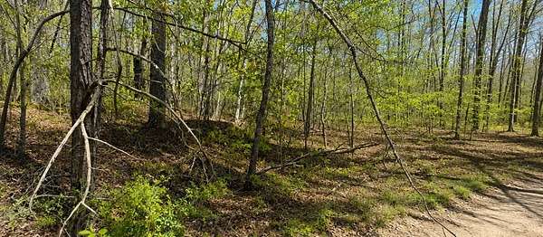 0.06 Acres of Residential Land for Auction in Sparta, Tennessee