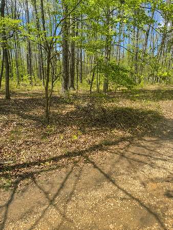 0.07 Acres of Residential Land for Auction in Sparta, Tennessee