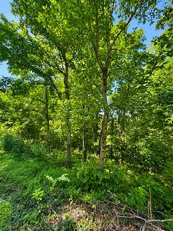 2 Acres of Residential Land for Auction in Smithville, Tennessee