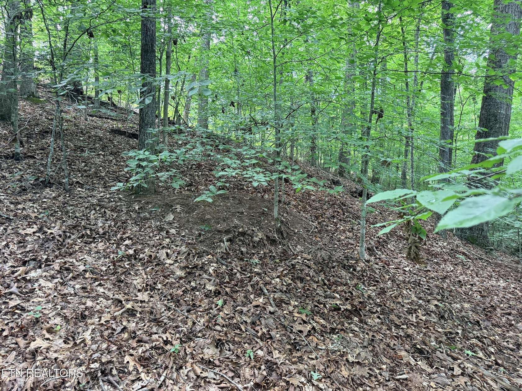 1.7 Acres of Residential Land for Sale in Sharps Chapel, Tennessee