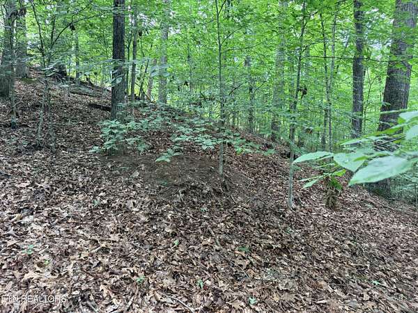 1.7 Acres of Residential Land for Sale in Sharps Chapel, Tennessee