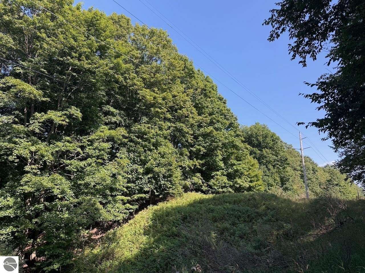 2 Acres of Residential Land for Sale in Bellaire, Michigan