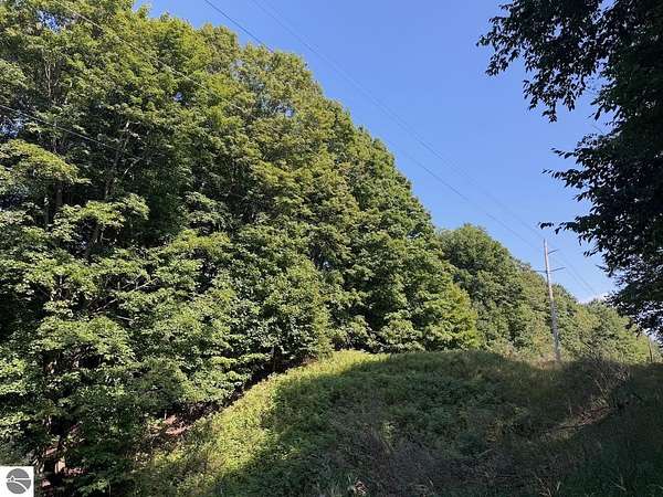 2 Acres of Residential Land for Sale in Bellaire, Michigan