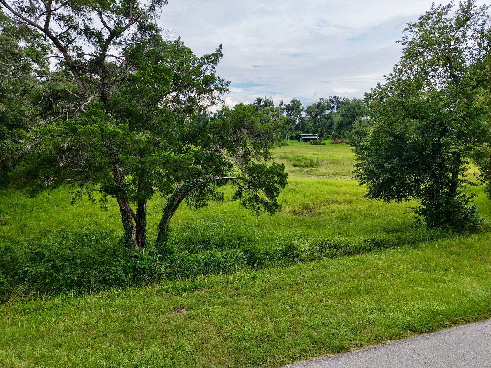 5.8 Acres of Land for Sale in Mayo, Florida