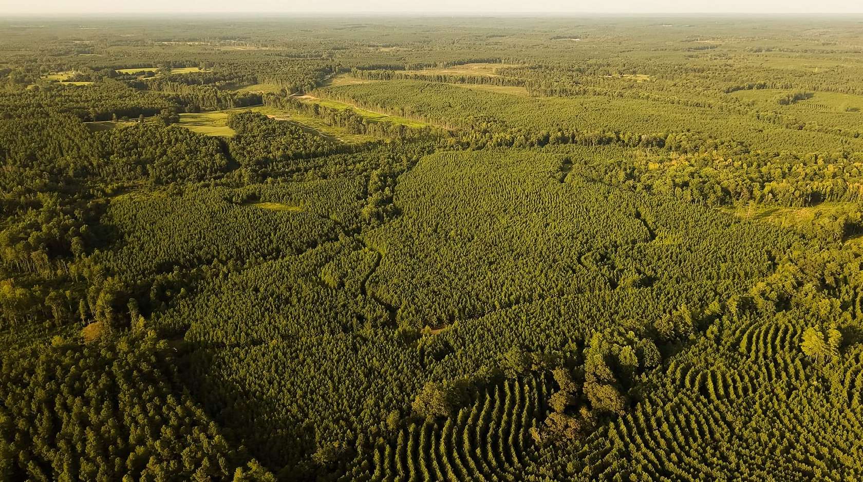 200 Acres of Recreational Land for Sale in Union, Mississippi