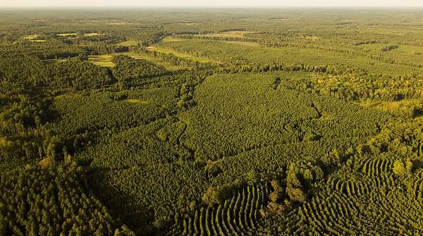 200 Acres of Recreational Land for Sale in Union, Mississippi