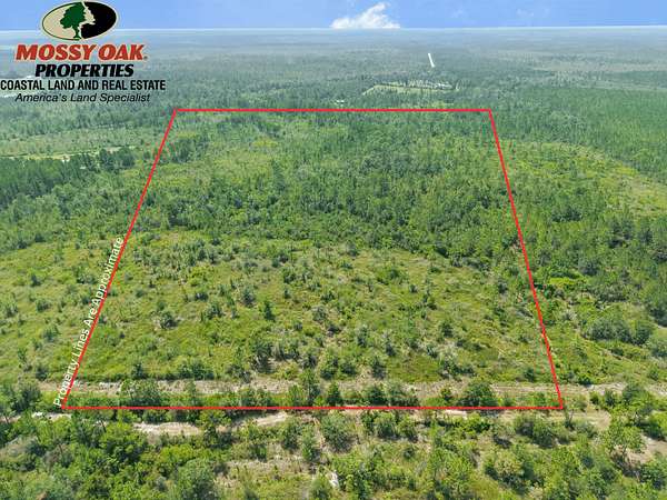 20 Acres of Recreational Land for Sale in Waycross, Georgia