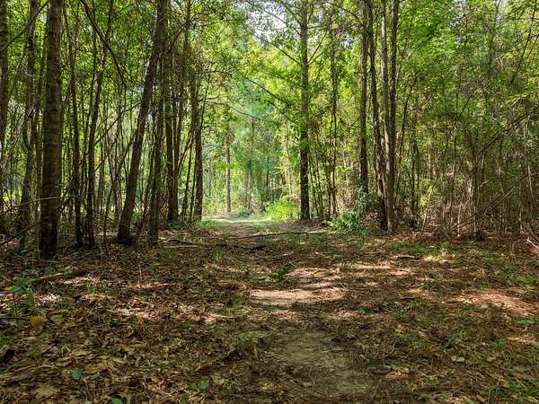 15 Acres of Recreational Land for Sale in Carthage, Mississippi