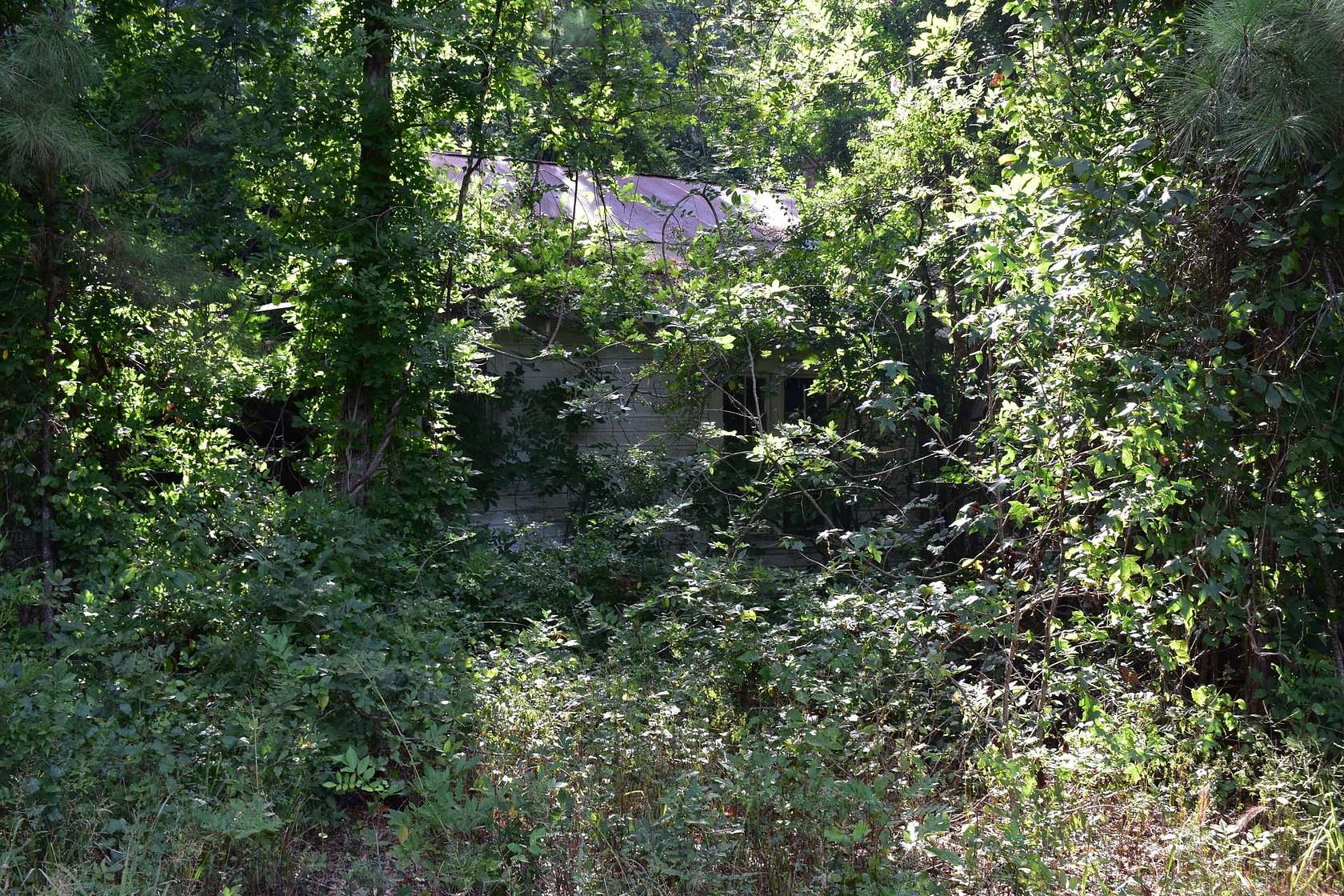 95 Acres of Improved Recreational Land for Sale in Fordyce, Arkansas