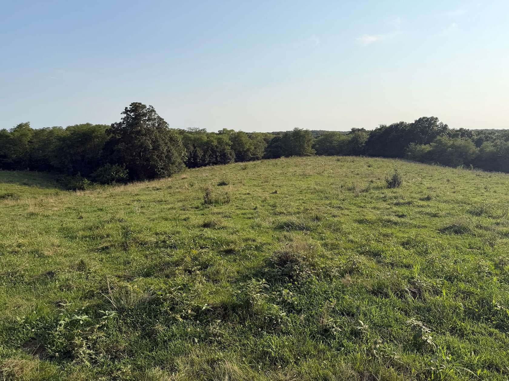 131 Acres of Land for Sale in Douds, Iowa