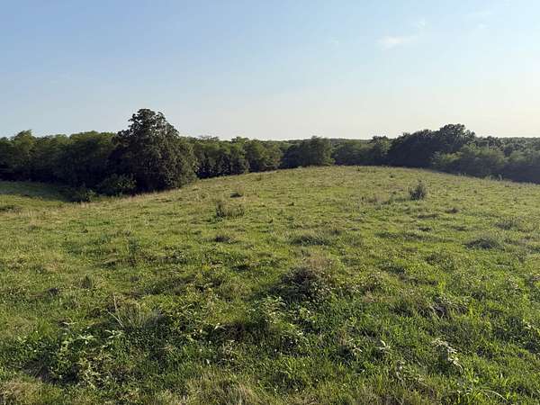131 Acres of Land for Sale in Douds, Iowa