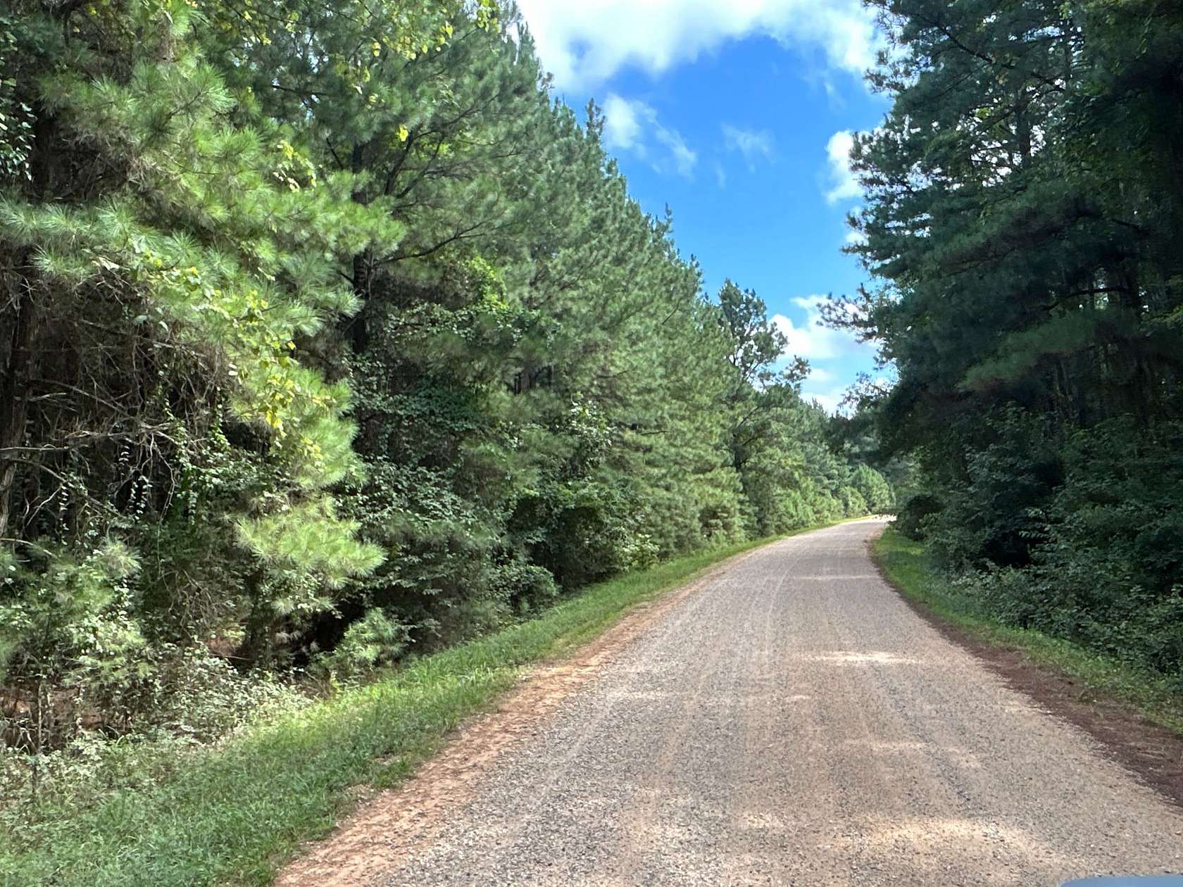 130 Acres of Recreational Land for Auction in Hamburg, Arkansas