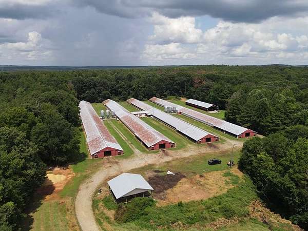 30 Acres of Agricultural Land for Sale in Carrollton, Georgia
