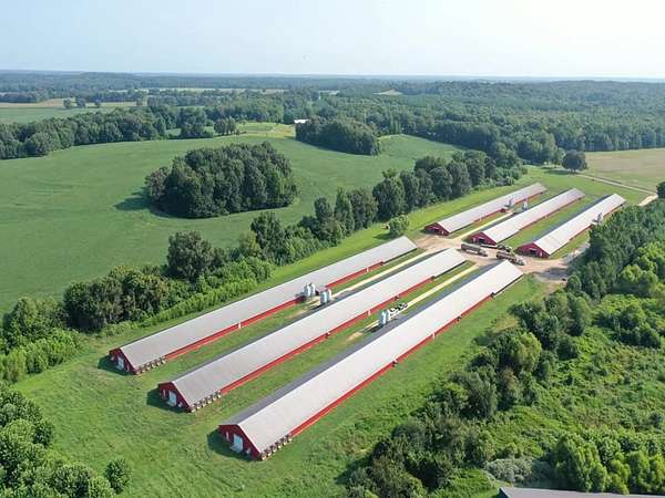 36 Acres of Agricultural Land for Sale in Cottage Grove, Tennessee