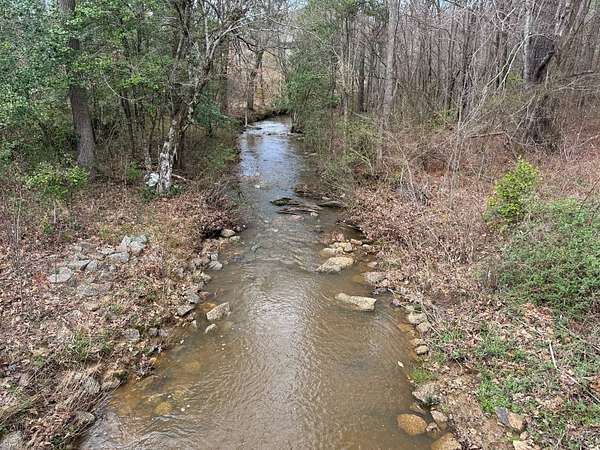 95 Acres of Land for Sale in Star, North Carolina