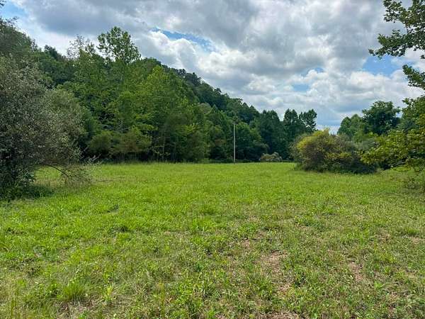 49.6 Acres of Recreational & Residential Land for Sale in Elizabeth, West Virginia