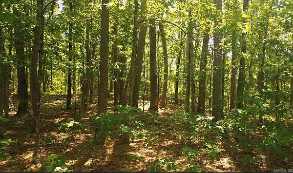 8 Acres of Land for Sale in Bee Branch, Arkansas