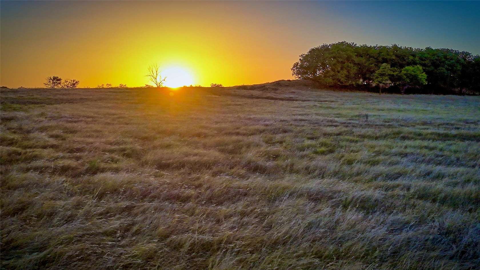 68.2 Acres of Land for Sale in Nocona, Texas