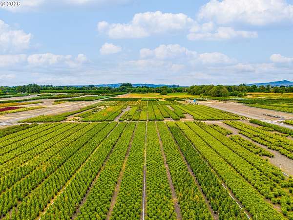 41.4 Acres of Land for Sale in Cornelius, Oregon