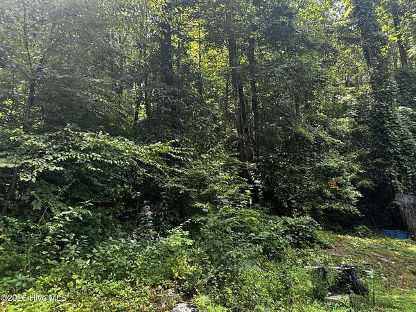 13 Acres of Land for Sale in Andrews, North Carolina