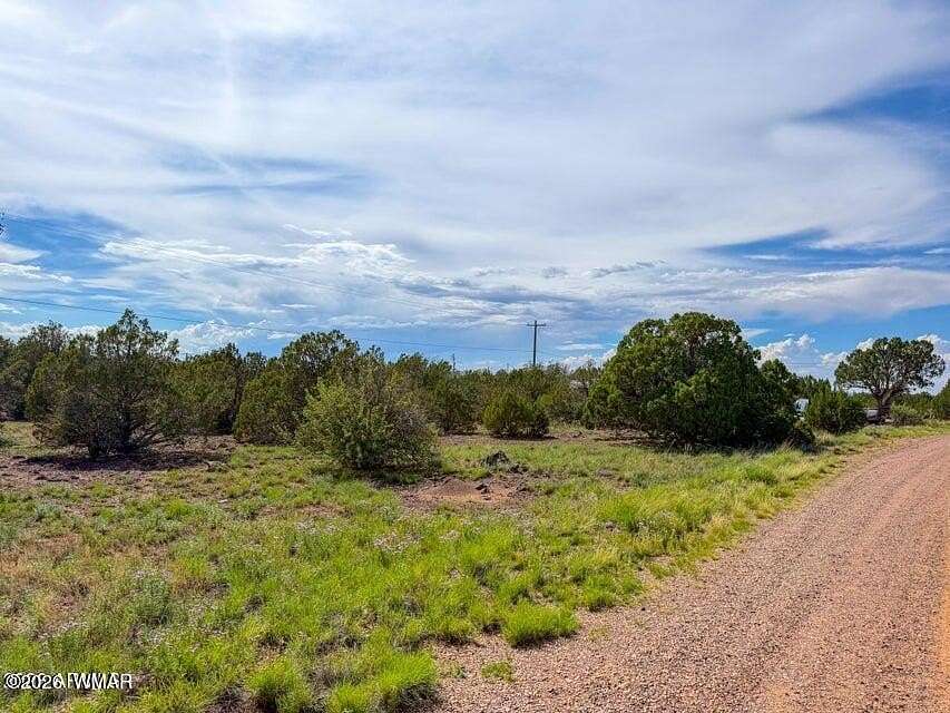 0.42 Acres of Residential Land for Sale in Show Low, Arizona