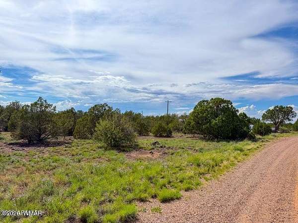 0.42 Acres of Residential Land for Sale in Show Low, Arizona