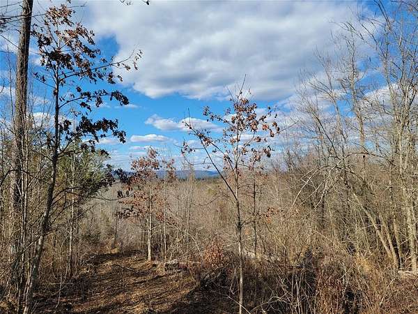 40 Acres of Recreational & Residential Land for Sale in Smithville, Oklahoma
