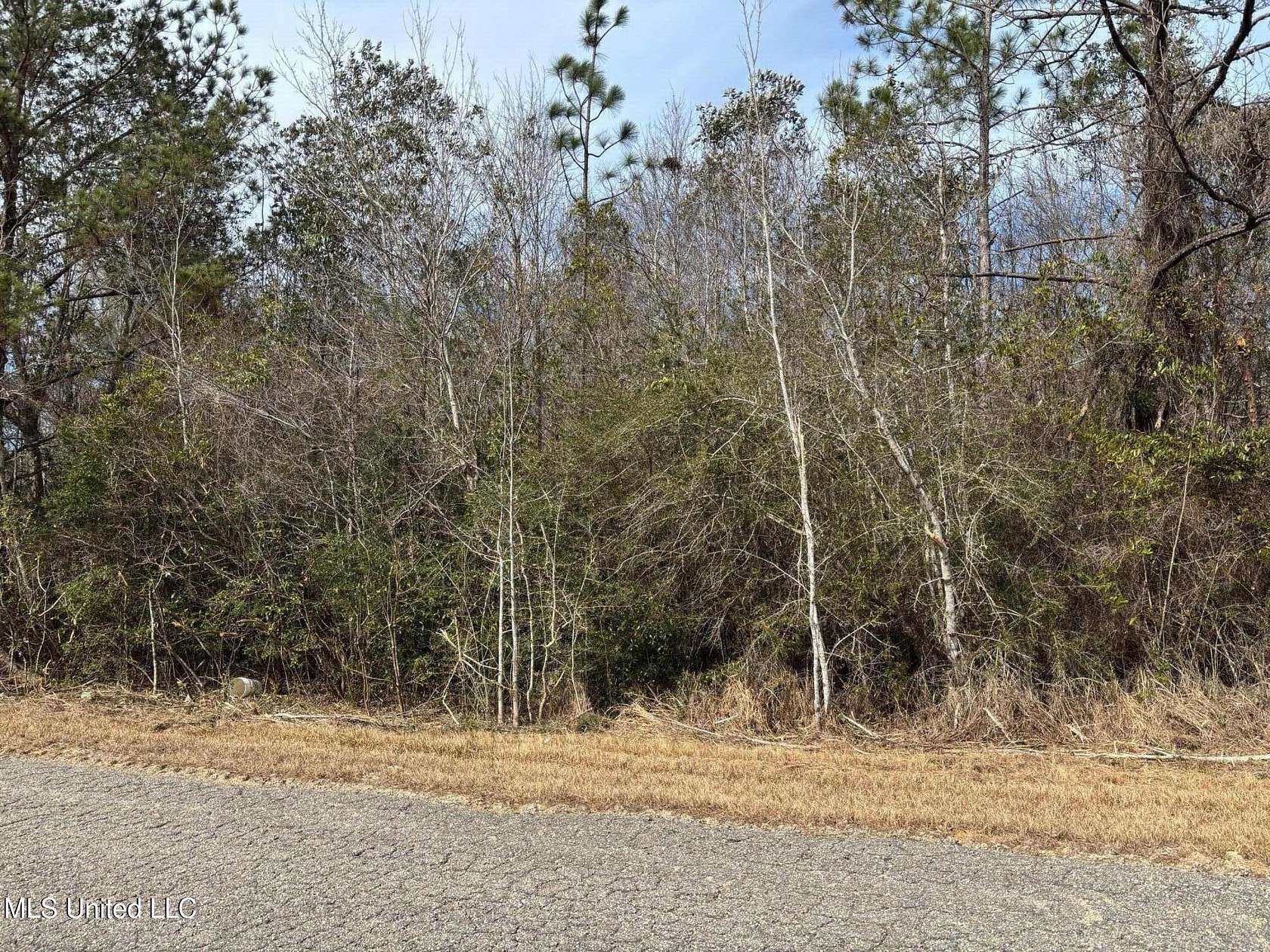 1.13 Acres of Residential Land for Sale in Saucier, Mississippi