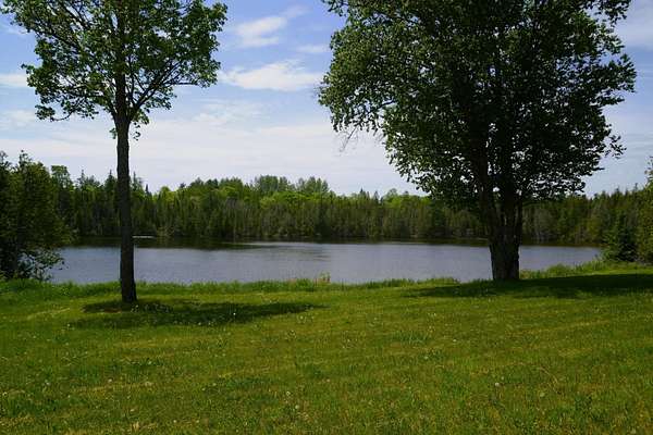 270 Acres of Land with Home for Sale in New Limerick, Maine