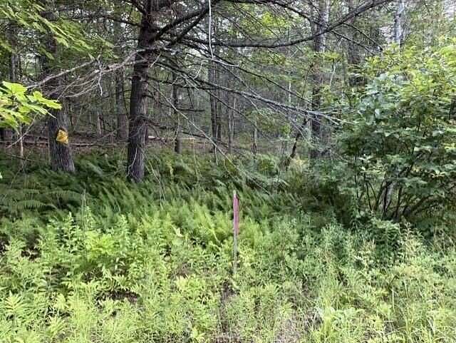 3.27 Acres of Residential Land for Sale in Washington, Maine