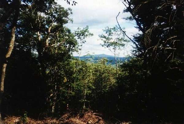 15 Acres of Land for Sale in Surry, New Hampshire