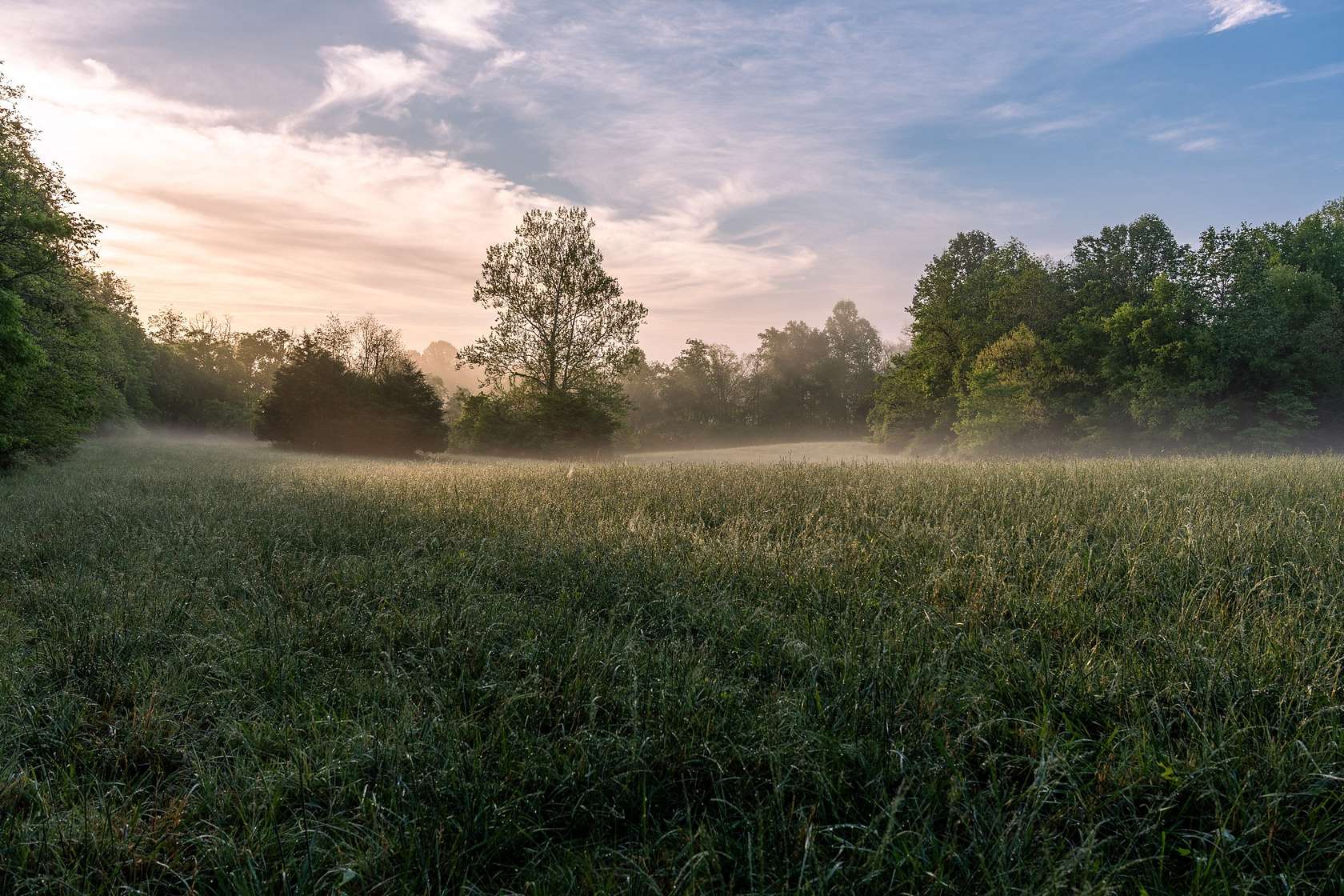 85 Acres of Land with Home for Sale in Columbia, Tennessee