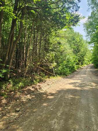 40 Acres of Recreational & Residential Land for Sale in Springfield, Maine