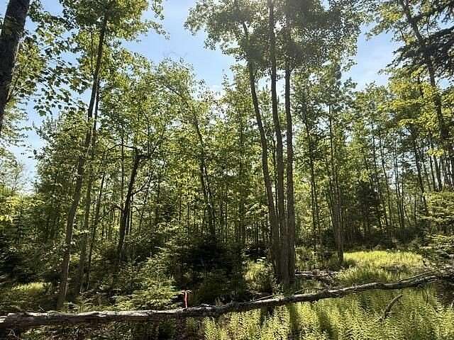 2.7 Acres of Residential Land for Sale in Orland, Maine