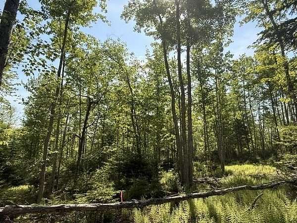 2.7 Acres of Residential Land for Sale in Orland, Maine