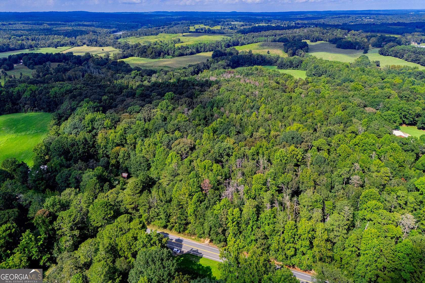 86.7 Acres of Recreational & Residential Land for Sale in Bowdon, Georgia
