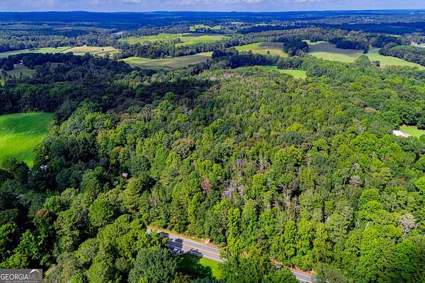 86.7 Acres of Recreational & Residential Land for Sale in Bowdon, Georgia