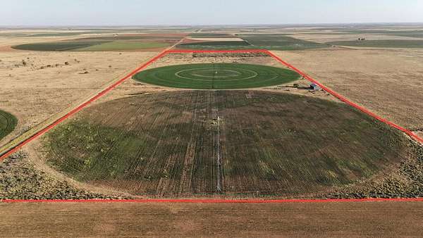 120 Acres of Land for Sale in Brownfield, Texas