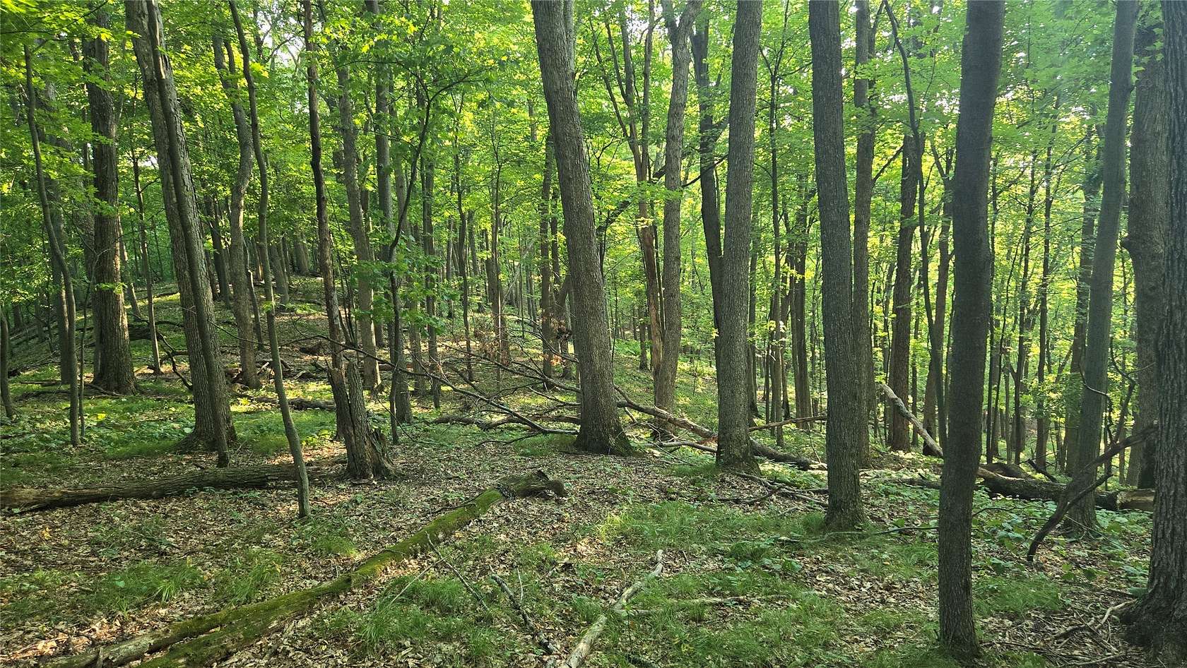 18 Acres of Recreational & Residential Land for Sale in Colfax, Wisconsin