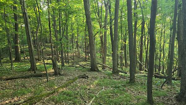 18 Acres of Recreational & Residential Land for Sale in Colfax, Wisconsin
