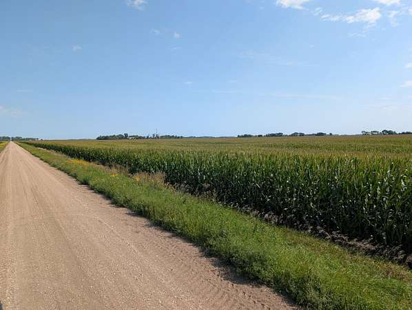160 Acres of Agricultural Land for Auction in Chokio, Minnesota