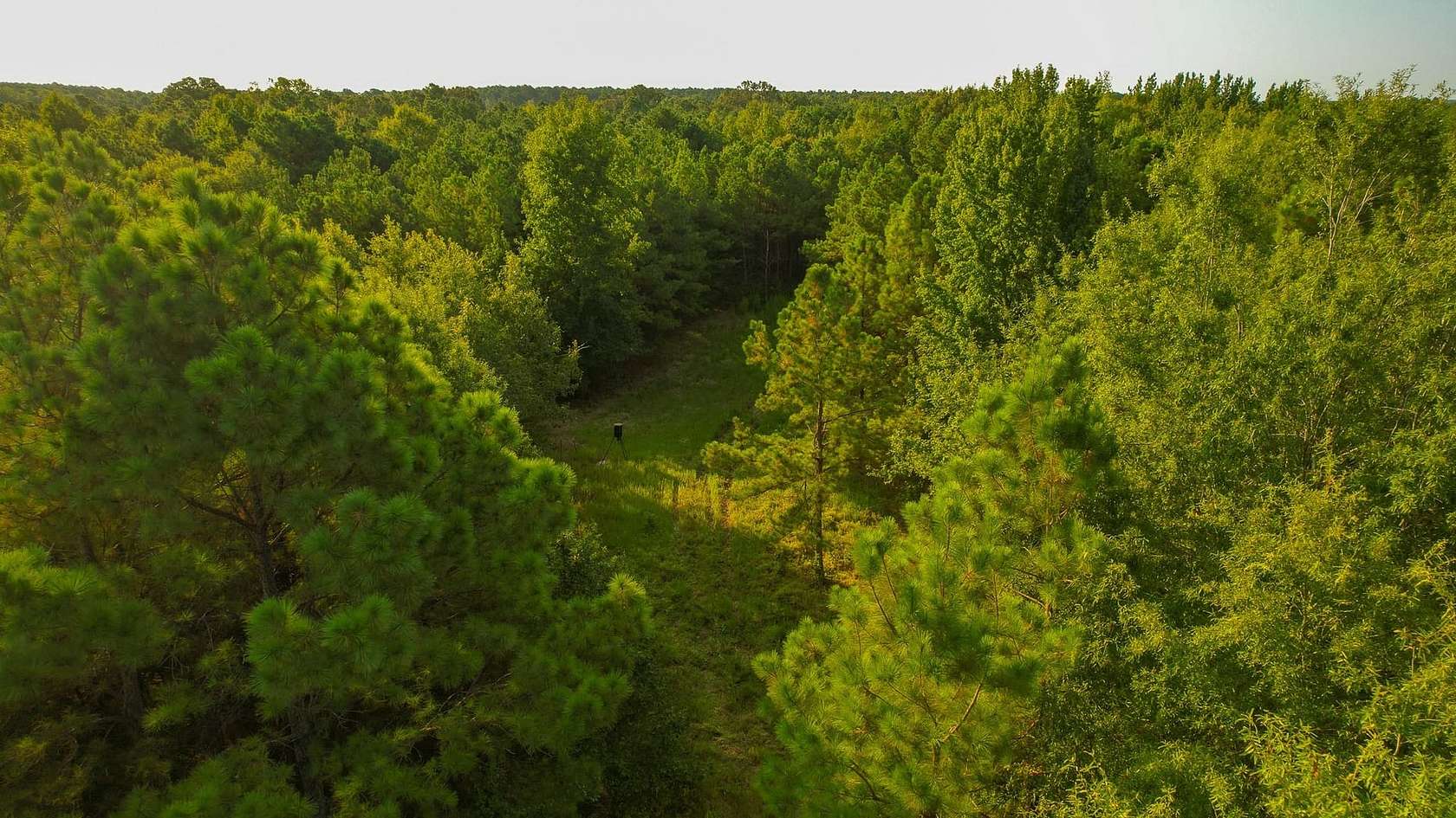 115 Acres of Land for Sale in Bagwell, Texas