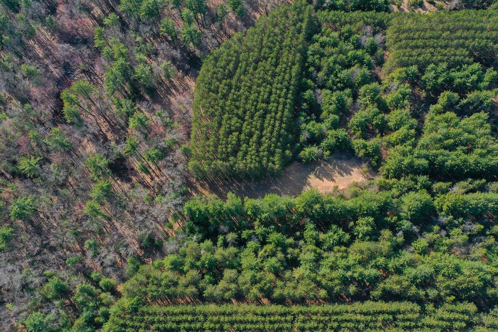 198 Acres of Land for Sale in Adams, Wisconsin