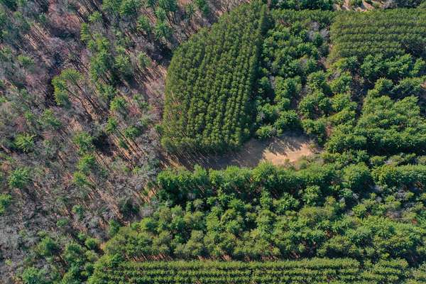 198 Acres of Land for Sale in Adams, Wisconsin