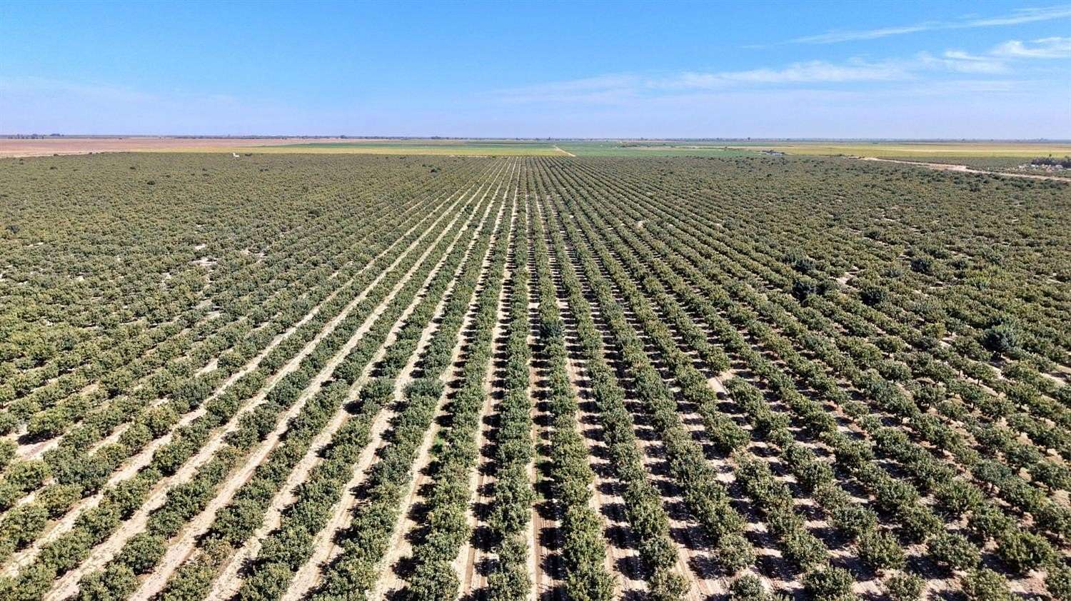 334 Acres of Land for Sale in Tranquillity, California