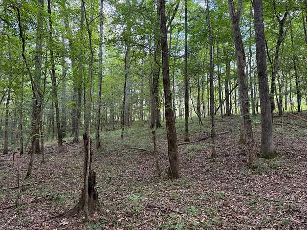 138 Acres of Recreational Land for Sale in Troy, Alabama