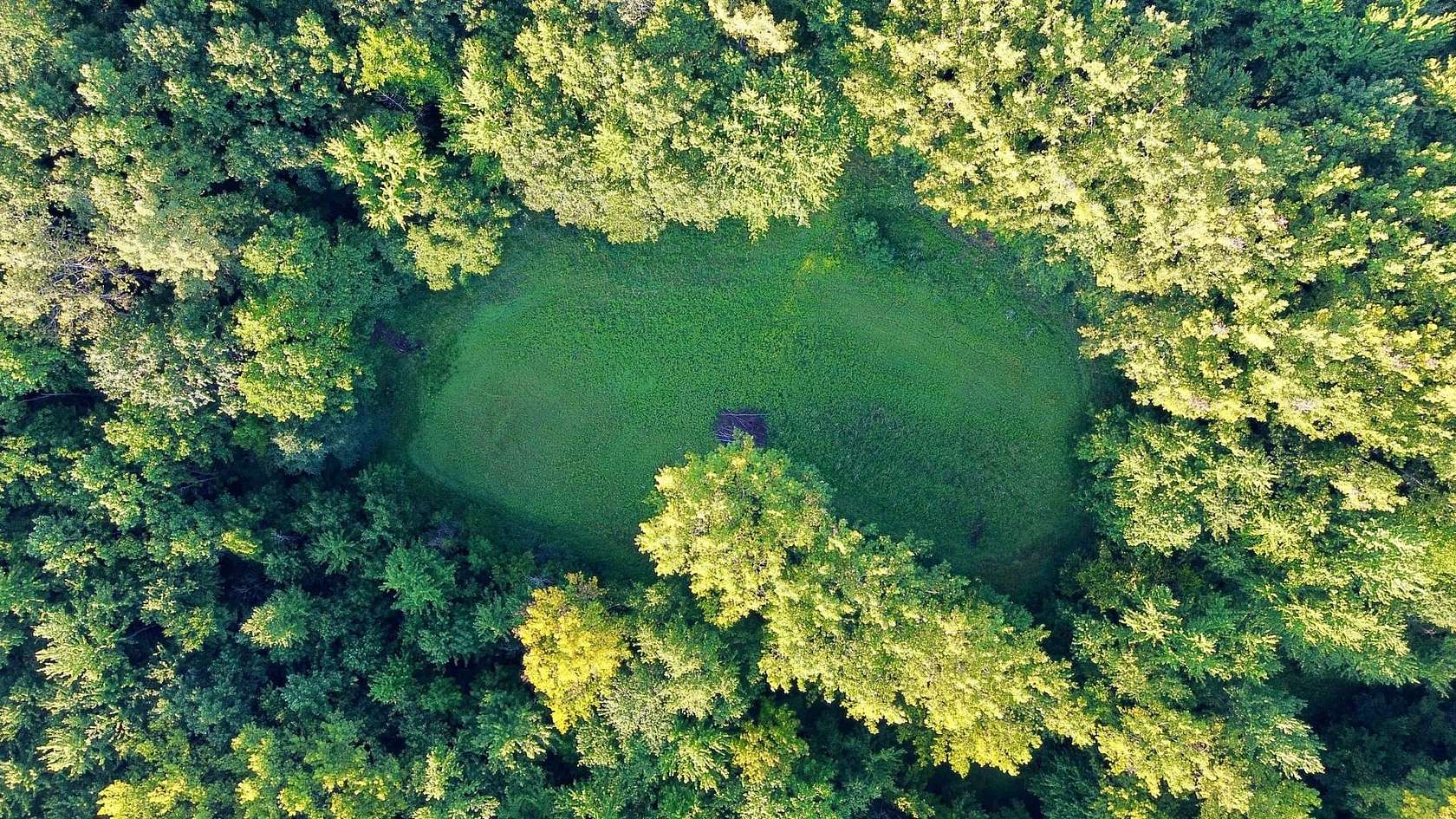 40 Acres of Land for Sale in Lawrence, Michigan