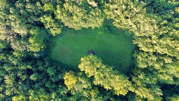 40 Acres of Land for Sale in Lawrence, Michigan