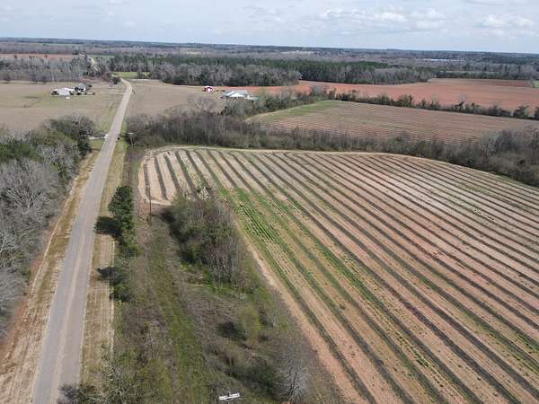 10 Acres of Land for Sale in Ashford, Alabama