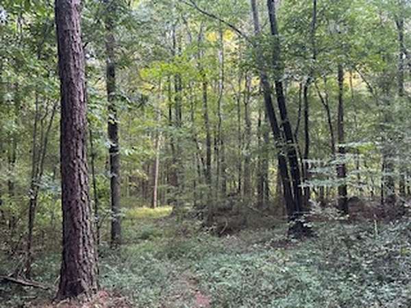 40 Acres of Recreational & Residential Land for Sale in Blountsville, Alabama